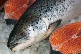 Lachs2